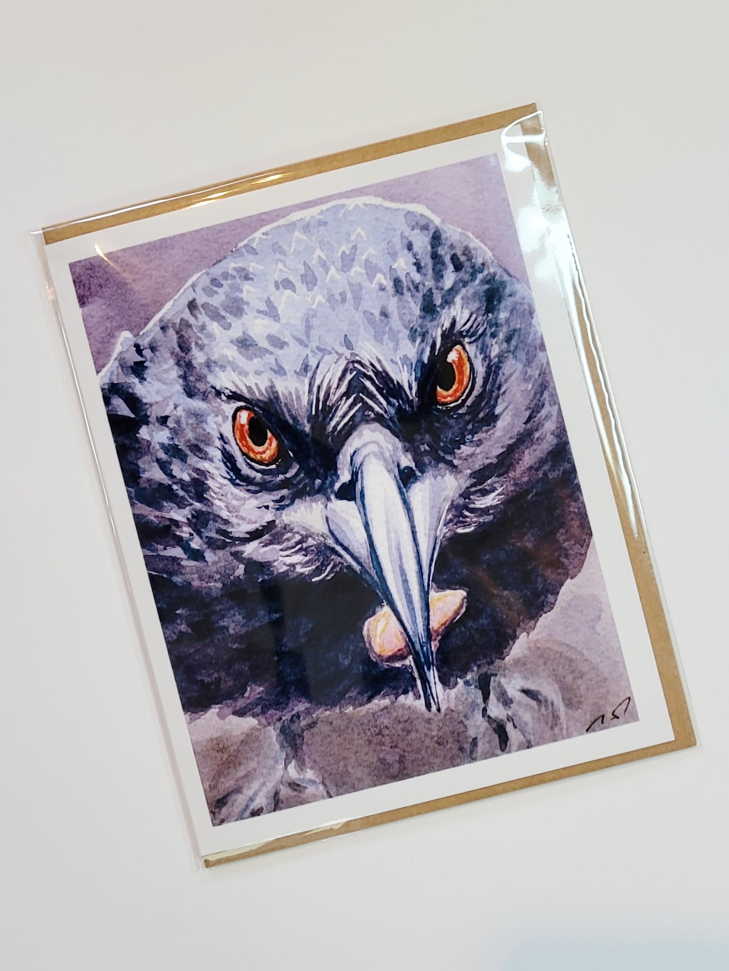 "The Pitcher" Day 56 Raven