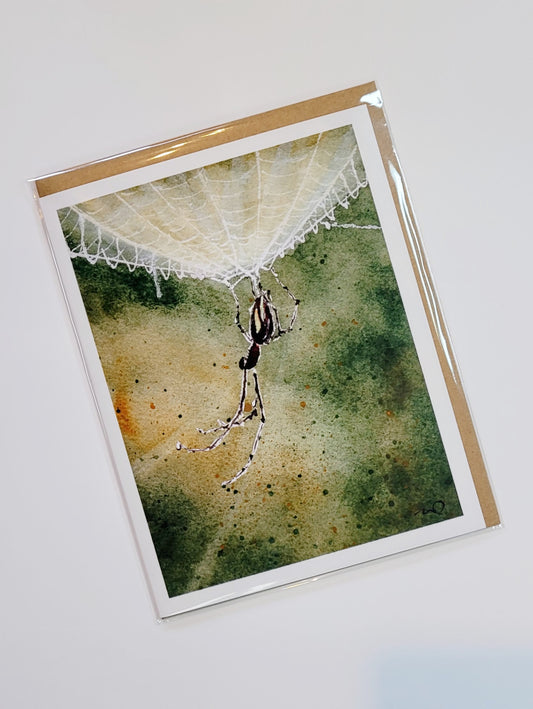 "Hang'n In There" spider on a web