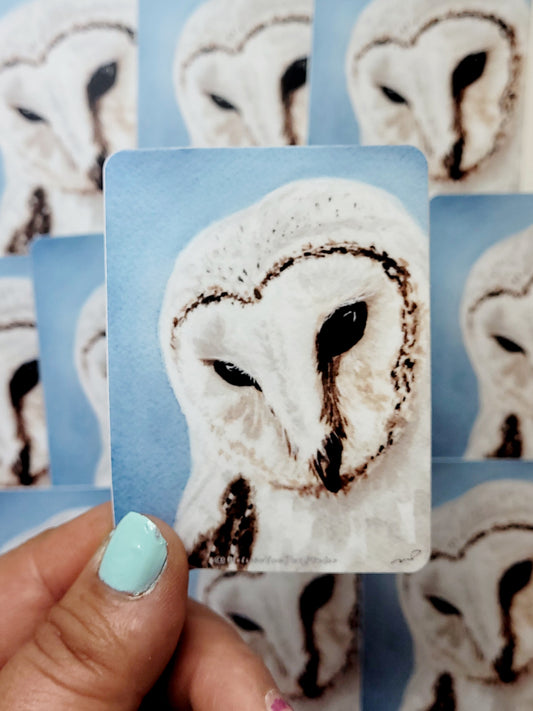 "The Observer" Day 76 Barn Owl