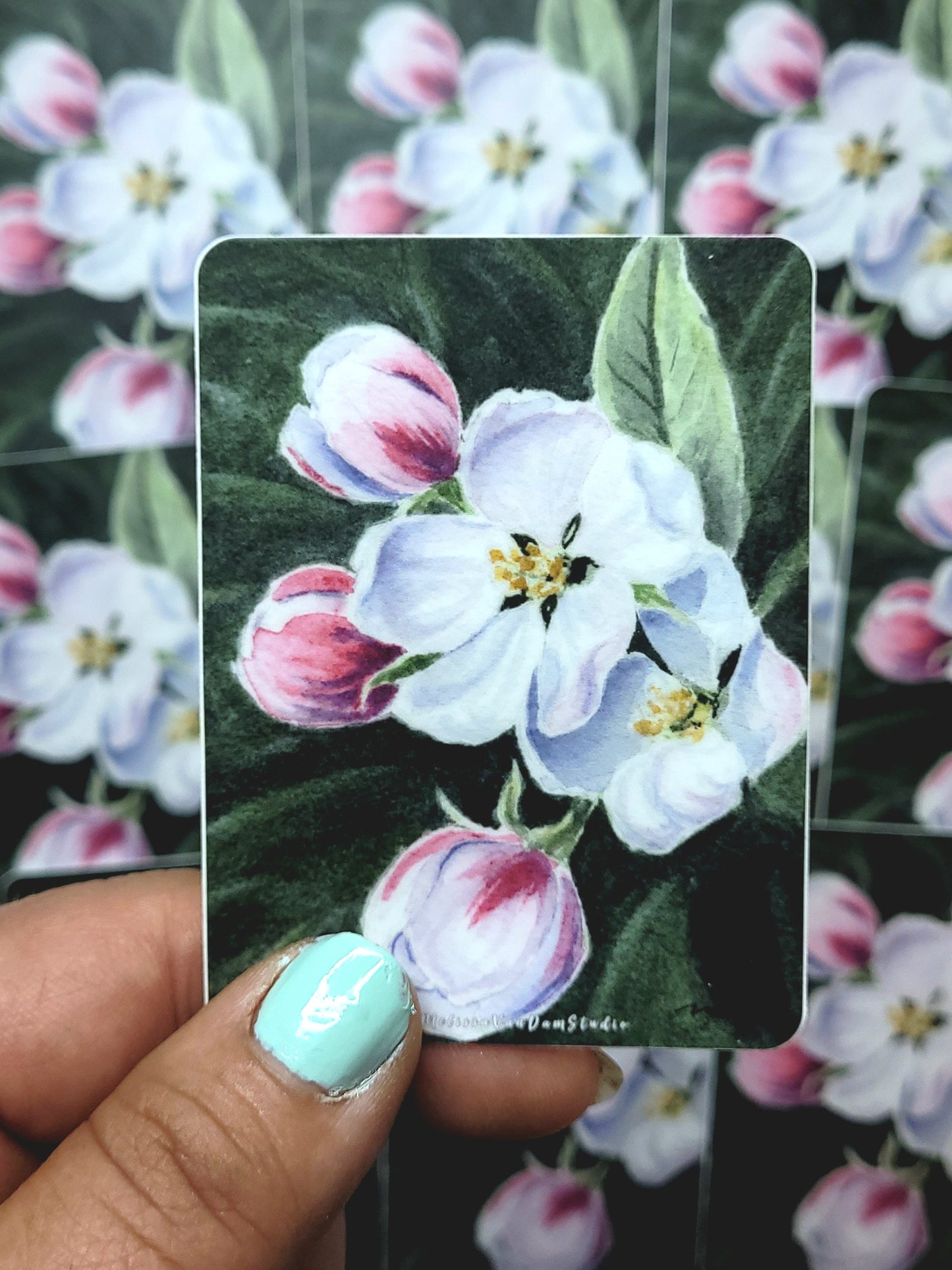 "Promised Fruit" Day 37 Apple Blossom