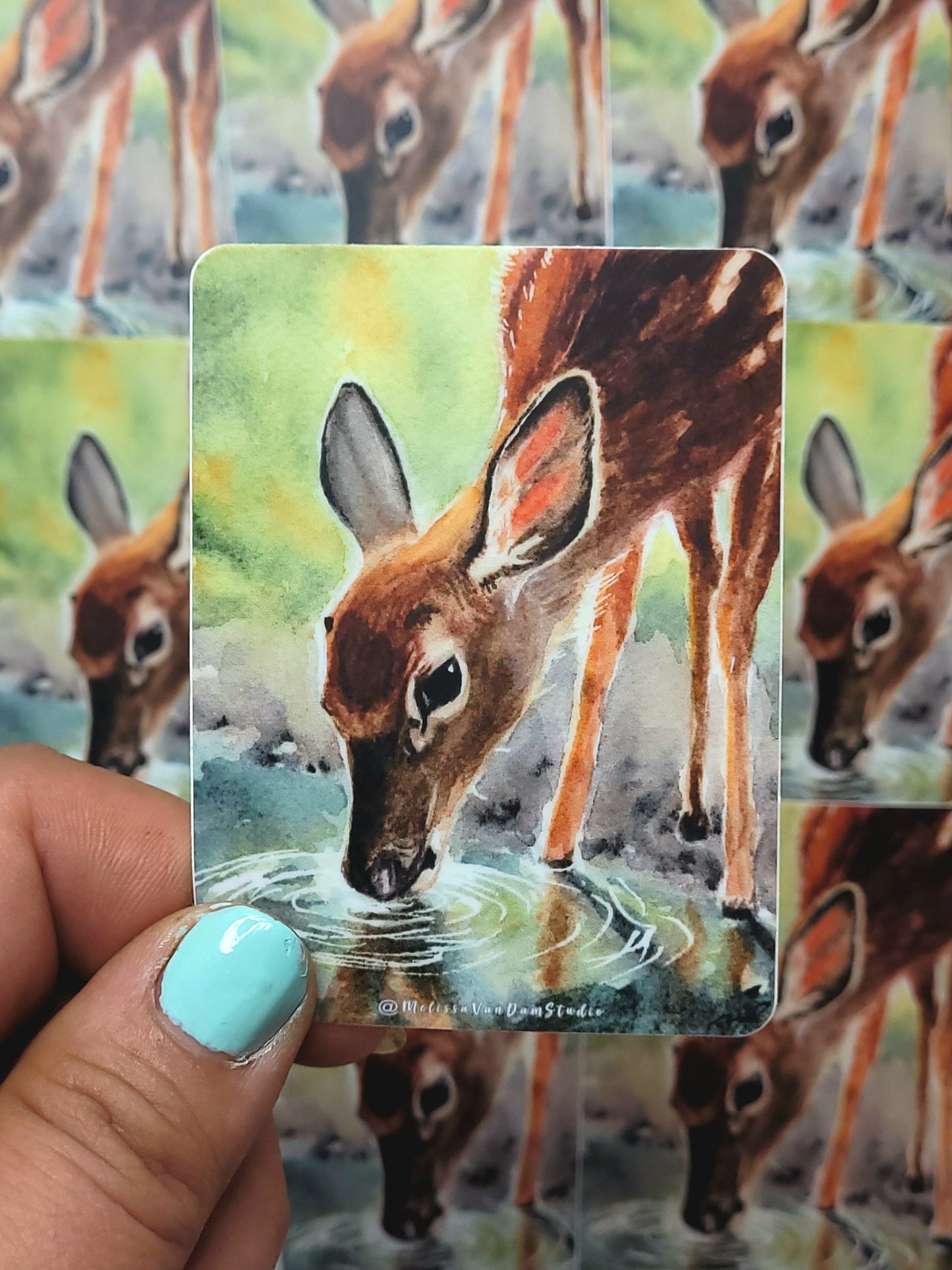 "As the Deer" Day 69 Fawn Drinking Water