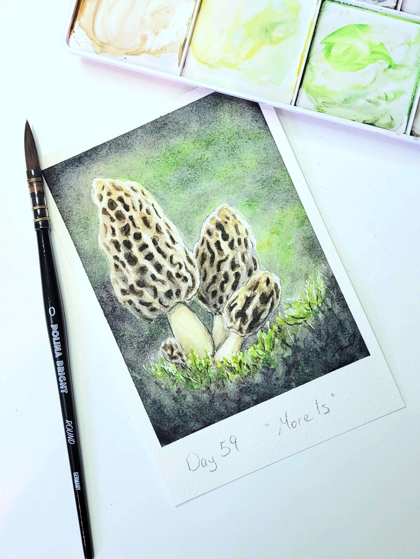 "Morels" Day 59 Mushrooms