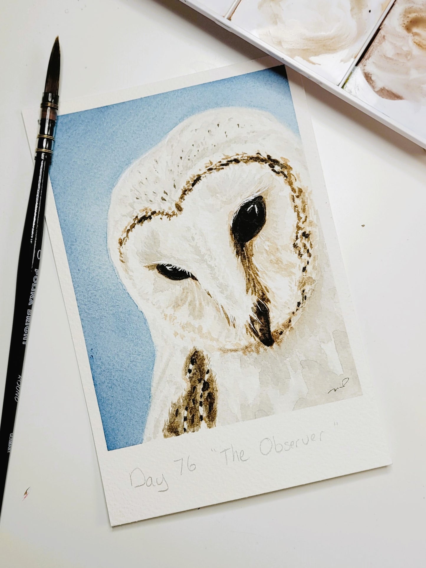 "The Observer" Day 76 Barn Owl