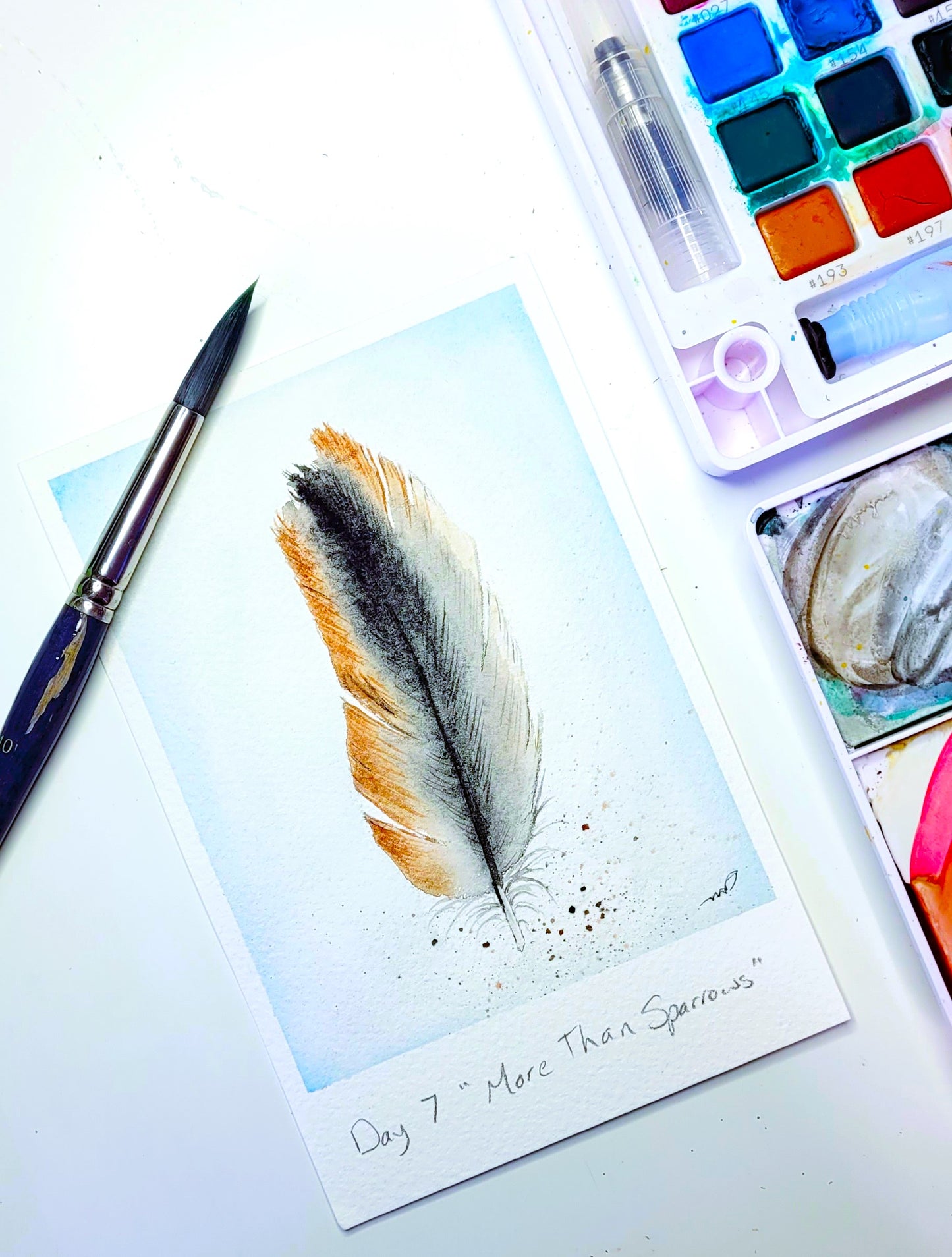 "More than Sparrows" Day 7 Feather
