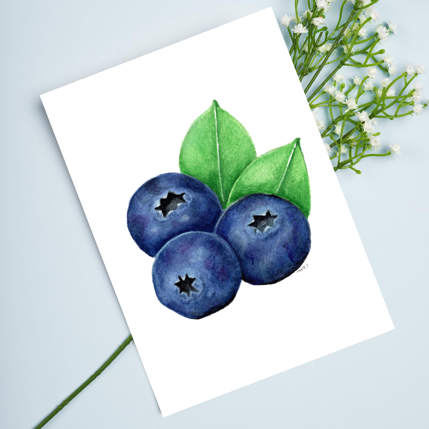 Blueberry 4.25x5.5" Blank Greeting Card with Envelope