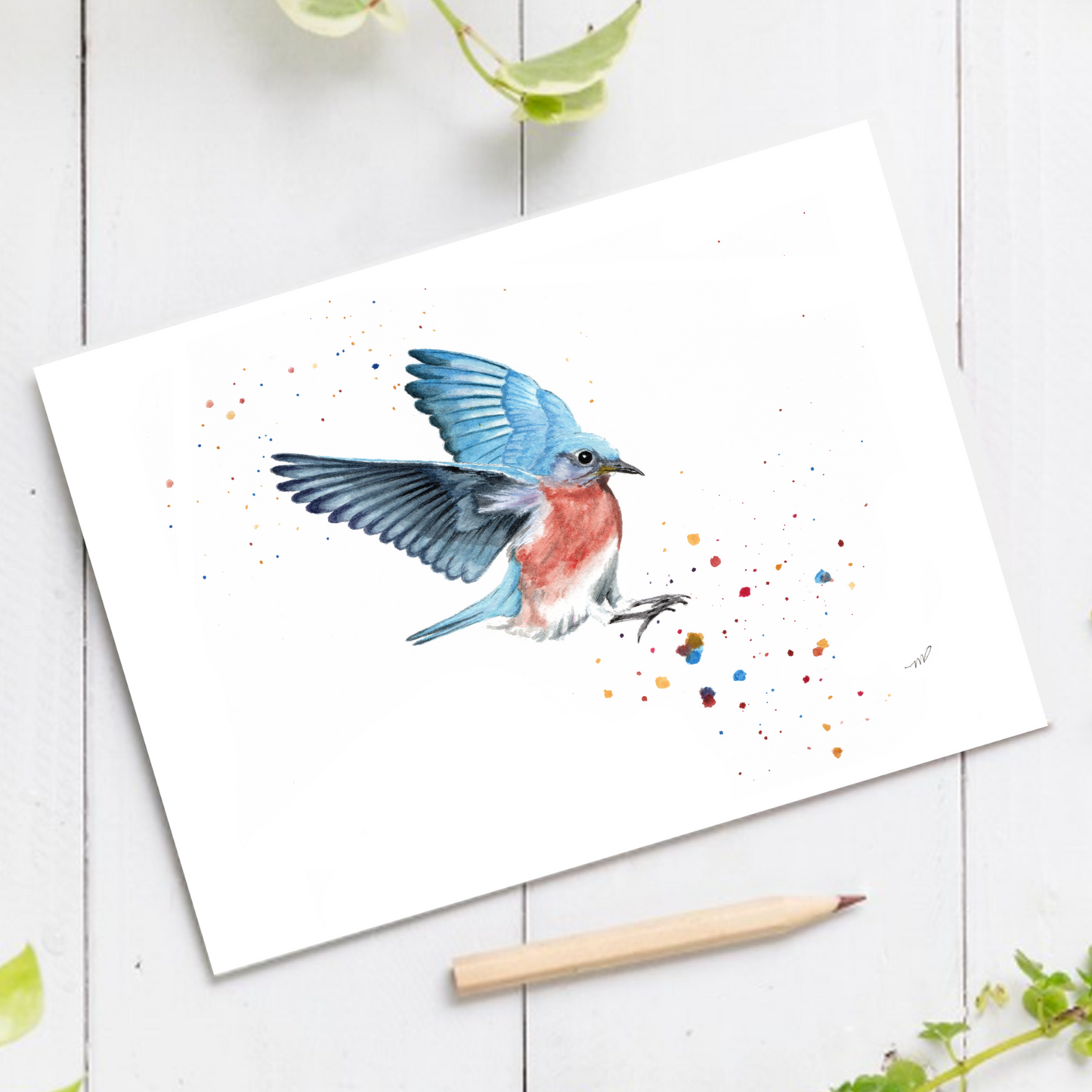 "Make a Splash" robin 4.25x5.5" Blank Greeting Card with Envelope