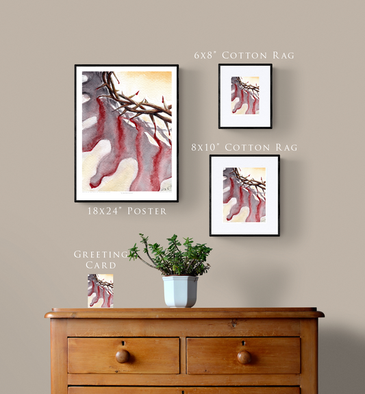 "Crowned" Day 64 Crown of Thorns