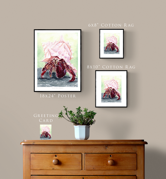 "Home for a Hermit" Day 26 Hermit Crab