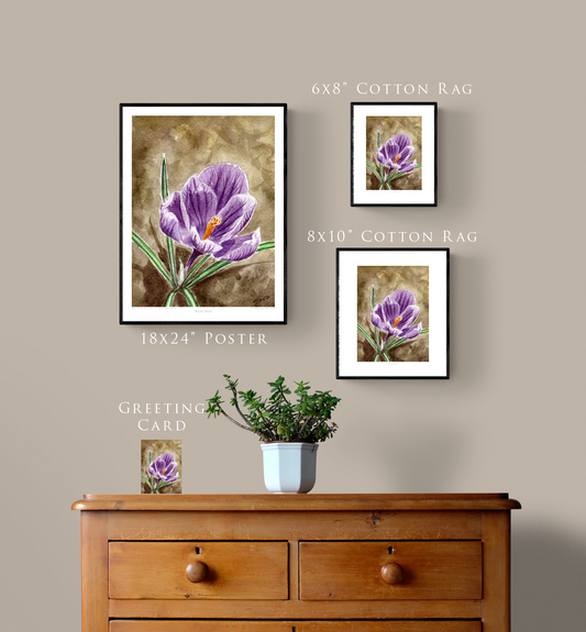 "Reacher" Day 54 Crocus Flower