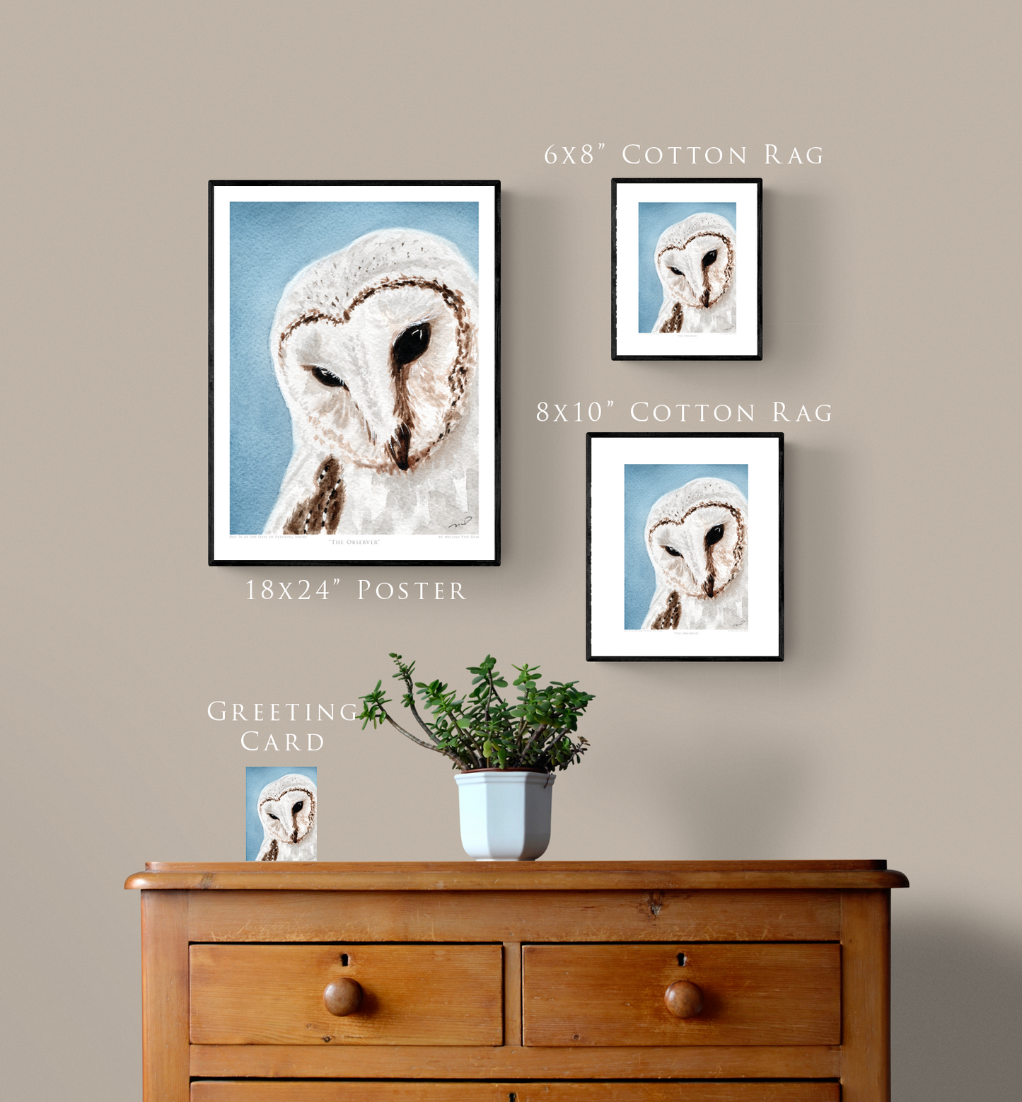 "The Observer" Day 76 Barn Owl