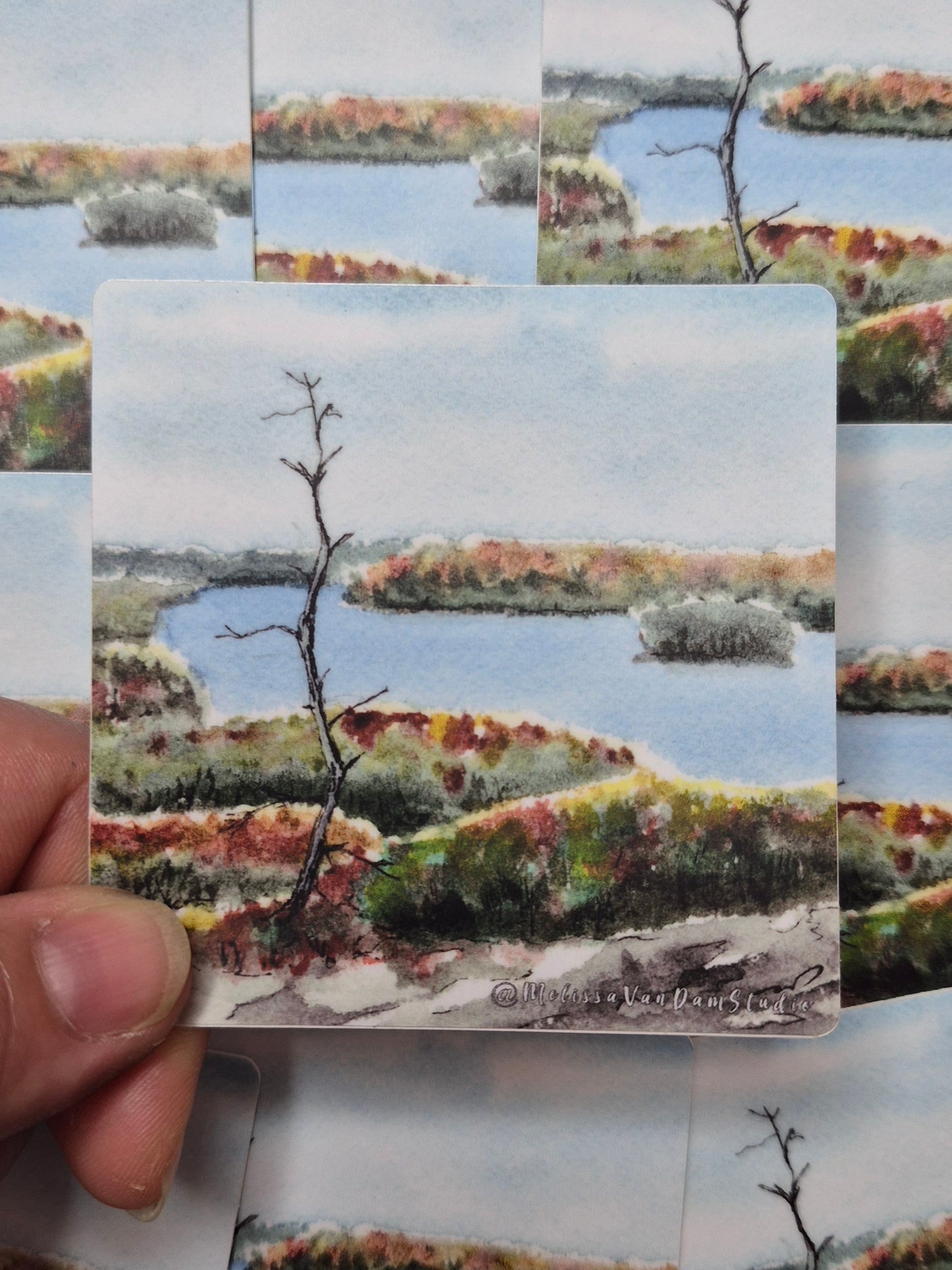 "Huckleberry" Square Weather Proof Sticker