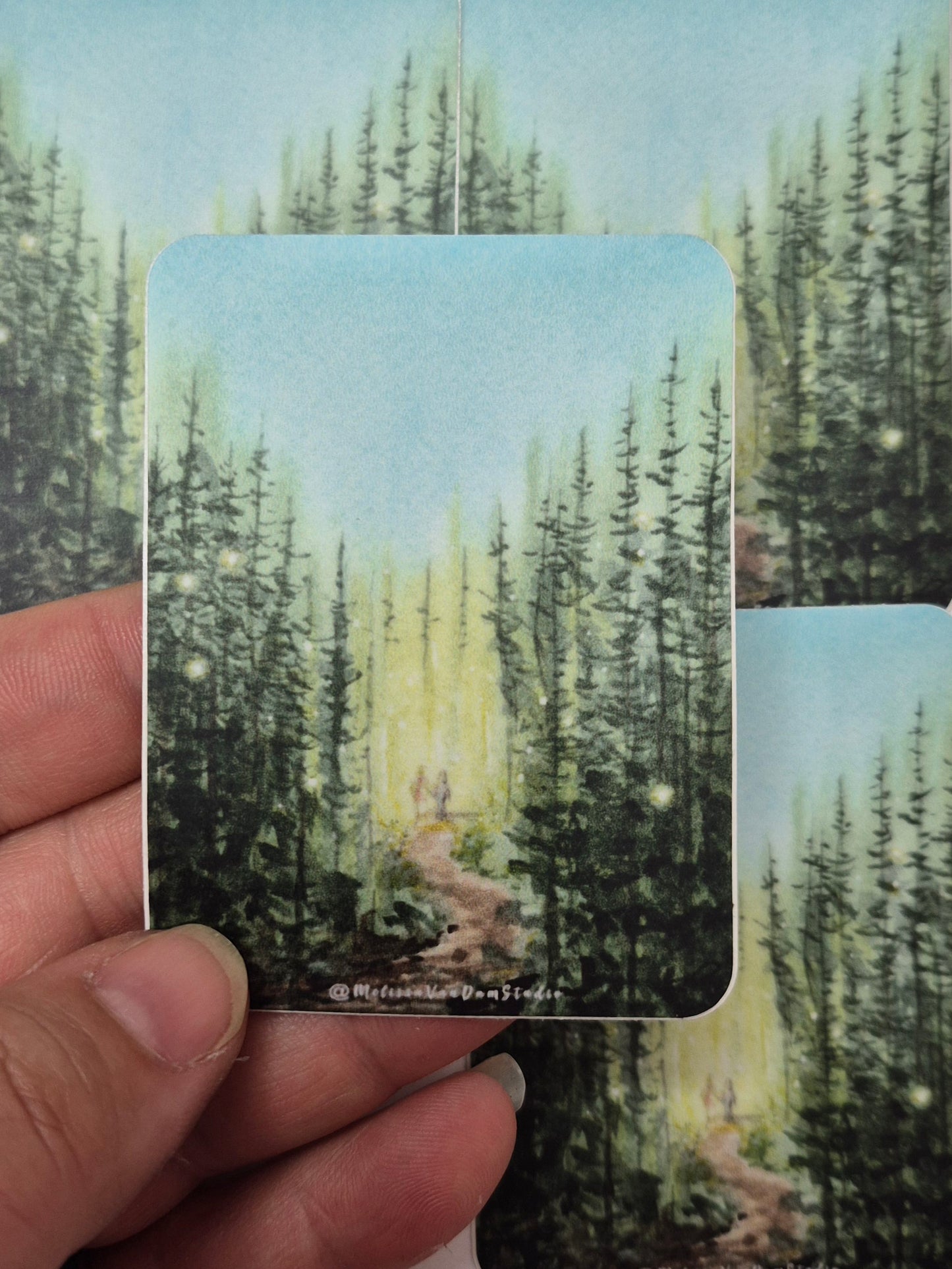 "You Don't Have to Walk Alone" Day 1 Walk in the Woods