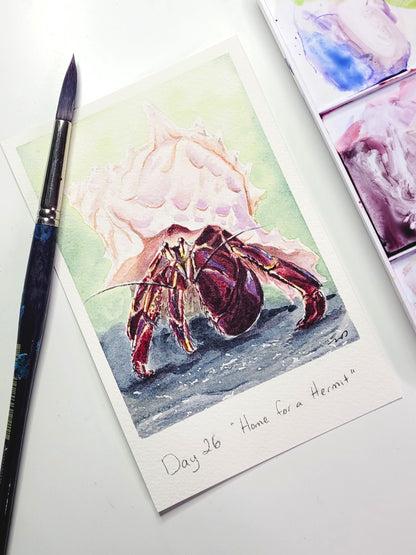 "Home for a Hermit" Day 26 Hermit Crab