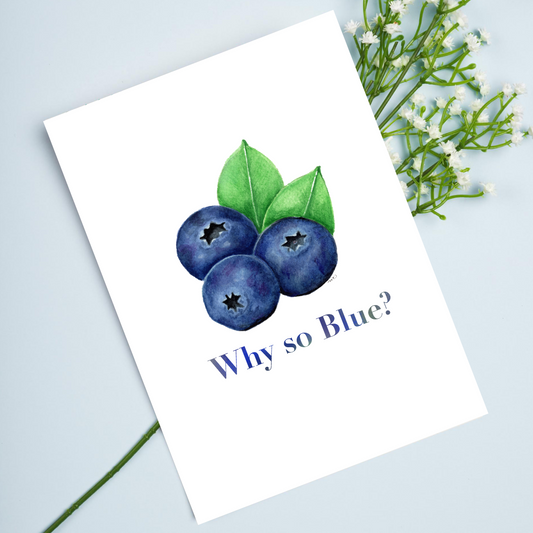 "Why so Blue?" Blueberry 4.25x5.5" Blank Greeting Card with Envelope