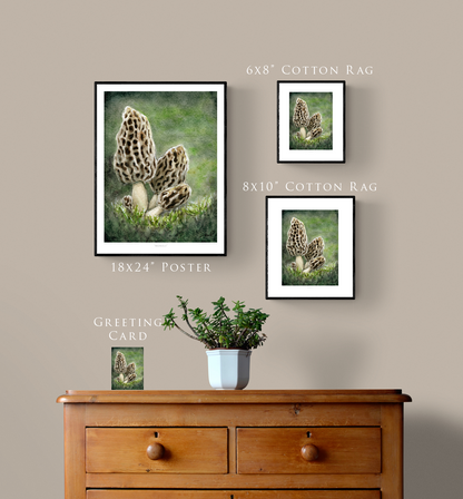 "Morels" Day 59 Mushrooms