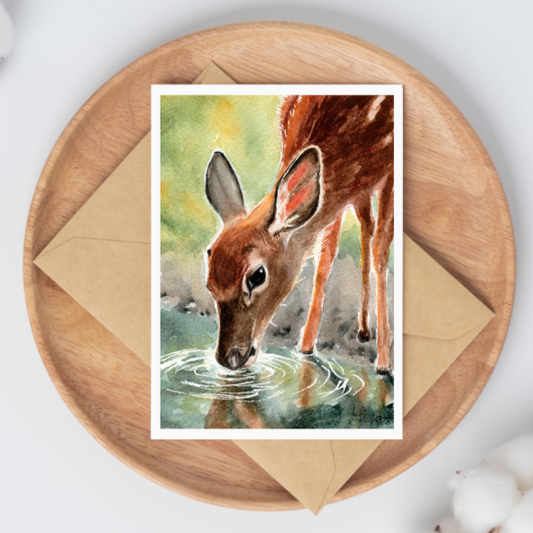 "As the Deer" Day 69 Fawn Drinking Water