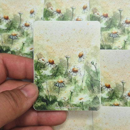 "Sunny Calm" Day 6 Chamomile